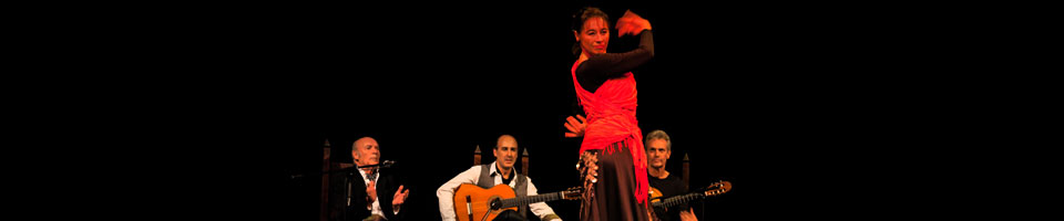 el jaleo live image 5